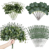 Qfdian 100 Pcs Mixed Eucalyptus Leaves Stems Bulk Artificial Silver Dollar Eucalyptus Leaves Picks Dried Eucalyptus Bundle Faux Spray