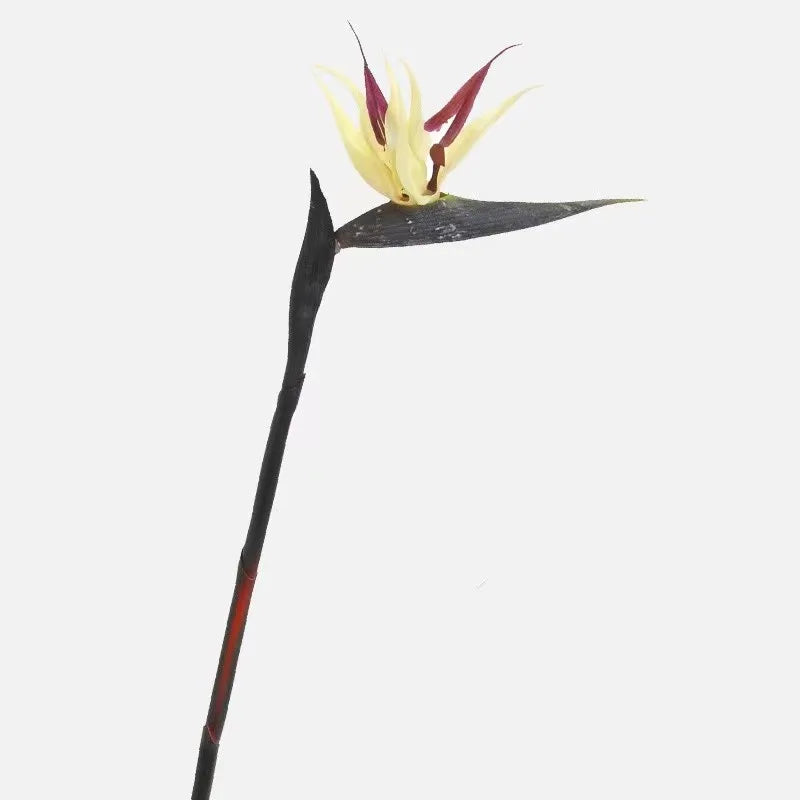 Qfdian Strelitzia / Artificial Butterfly Orchid Green Plant Artificial Flowers