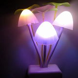 Qfdian Novelty Mushroom Fungus Night Light EU & US Plug Light Sensor 220V 3 LED Colorful Mushroom Lamp Led Night Lights