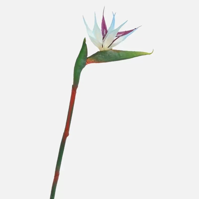 Qfdian Strelitzia / Artificial Butterfly Orchid Green Plant Artificial Flowers