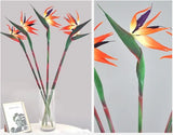 Qfdian Strelitzia / Artificial Butterfly Orchid Green Plant Artificial Flowers