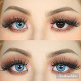 Qfdian Himalaya Blue 14.0mm 1 Pair | 1 Year