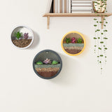 Qfdian Sand Art Wall Planters Box