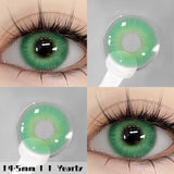 Qfdian Atlantis Green 14.5mm 1 Pair | 1 Year