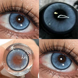 Qfdian Boston Blue 14.5mm 1 Pair | 1 Year