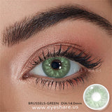 Qfdian Brussels Green 14.0mm 1 Pair | 1 Year