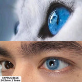Qfdian Cyprus Blue 14.2mm 1 Pair | 1 Year