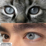 Qfdian Cyprus Gray 14.2mm 1 Pair | 1 Year