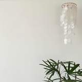 Qfdian Bamboo Shell Wind Chime
