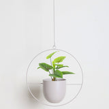 Qfdian Sleek Luxury Modern Hanging Pots