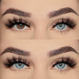 Qfdian Estonia Blue 14.5mm 1 Pair | 1 Year