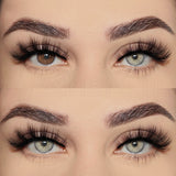 Qfdian Estonia Gray 14.5mm 1 Pair | 1 Year