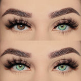 Qfdian Estonia Green 14.5mm 1 Pair | 1 Year