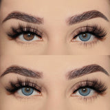 Qfdian Firenze Blue 14.5mm 1 Pair | 1 Year