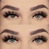 Qfdian Firenze Gray 14.5mm 1 Pair | 1 Year