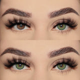 Qfdian Firenze Green 14.5mm 1 Pair | 1 Year
