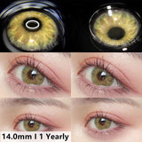 Qfdian GEM Brown Color Contact Lenses 14.0mm
