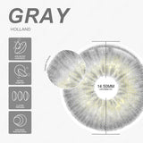 Qfdian Holland Gray 1 Day Use I 14.5mm, 10 Pcs=5Pair