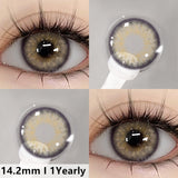 Qfdian Myakhie Hazel 14.2mm 1 Pair | 1 Year