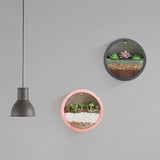 Qfdian Sand Art Wall Planters Box