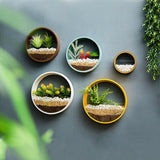 Qfdian Sand Art Wall Planters Box