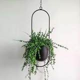 Qfdian Sleek Luxury Modern Hanging Pots