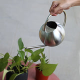 Qfdian  Stainless Steel Garden Watering Cans for Flowers Handheld Spherical Shape Watering Cans Vegetable Garden Funnel Watering Plants