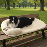 Qfdian  Summer Pet Cooling Mat Ice Bead Dog Bed Removable Washable Sofa Cushion with Cool Sensation Sponge for Dogs and Cats Indoor Home