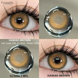 Qfdian  2pcs Colored Contact Lenses Brown Eyes Lenses Gray Lenses Blue Pupils Natural Eye Lens Colored Contacts Eye Cosmetics