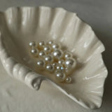 Qfdian  Shell Plate Cream Retro Ceramic Plate Fruit Snack Plate Dinner Tray Dish Set Jewelry Storage Dish Tableware Gift