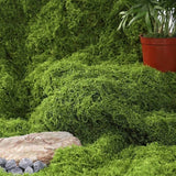 Qfdian  1*1m Fake Moss DIY Crafts Grass Artificial Moss Faux Preserved Moss Green Plants Home Room Garden Decor Landscape Fake Grass