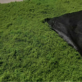 Qfdian  1*1m Fake Moss DIY Crafts Grass Artificial Moss Faux Preserved Moss Green Plants Home Room Garden Decor Landscape Fake Grass
