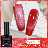 Qfdian Transparent Cat Eye Gel Nail Polish 10ml UV Nail Art Semi Permanent Hybrid Varnishes Magnet SPAR Lacquer Gel Vernis Soak