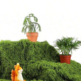 Qfdian  1*1m Fake Moss DIY Crafts Grass Artificial Moss Faux Preserved Moss Green Plants Home Room Garden Decor Landscape Fake Grass