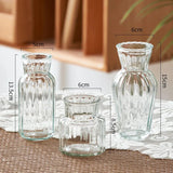 Qfdian  1pc Nordic Creative Transparent Vases for Plant Bottle Flower Pot Hydroponic Terrarium Arrangement Container Flower Table Vase