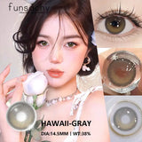 Qfdian  2pcs Colored Contact Lenses Brown Eyes Lenses Gray Lenses Blue Pupils Natural Eye Lens Colored Contacts Eye Cosmetics