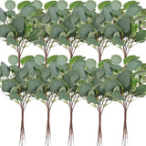 Qfdian 100 Pcs Mixed Eucalyptus Leaves Stems Bulk Artificial Silver Dollar Eucalyptus Leaves Picks Dried Eucalyptus Bundle Faux Spray