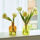 Qfdian  2pc Set Mini Vases Terrarium Hydroponic Plant Pot Glass Vase Wedding Flowers Candle Holders Decor Avocado Glass Growing Bud Vase