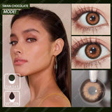 Qfdian Swan Chocolate 14.5mm 1 Pair | 1 Year