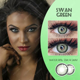 Qfdian Swan Green 14.5mm 1 Pair | 1 Year