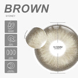 Qfdian Sydney Brown 14.5mm 1 Pair | 1 Year