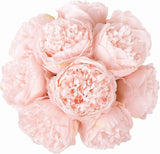 Qfdian 10PCS  Artificial Peony Flowers Fake Silk Peony for Home Wedding Table Centerpieces Party Festiva Decoration