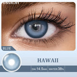 Qfdian  2pcs Colored Contact Lenses for Eyes Natural Brown Lens Gray Lens Eye Contacts Cosmetic Beauty Pupil High Quality Lens