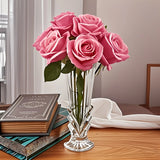 Qfdian  Art Deco Glass Vase Transparent Glass Art Deco Style Vase - Oblong Shape Japanese INS Decor Creative Tabletop Aqua Plant Holder