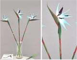 Qfdian Strelitzia / Artificial Butterfly Orchid Green Plant Artificial Flowers