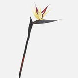 Qfdian Strelitzia / Artificial Butterfly Orchid Green Plant Artificial Flowers