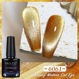 Qfdian Transparent Cat Eye Gel Nail Polish 10ml UV Nail Art Semi Permanent Hybrid Varnishes Magnet SPAR Lacquer Gel Vernis Soak