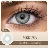 Qfdian  2pcs Colored Contact Lenses for Eyes Natural Brown Lens Gray Lens Eye Contacts Cosmetic Beauty Pupil High Quality Lens