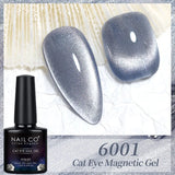 Qfdian Transparent Cat Eye Gel Nail Polish 10ml UV Nail Art Semi Permanent Hybrid Varnishes Magnet SPAR Lacquer Gel Vernis Soak