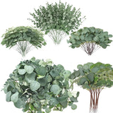 Qfdian 100 Pcs Mixed Eucalyptus Leaves Stems Bulk Artificial Silver Dollar Eucalyptus Leaves Picks Dried Eucalyptus Bundle Faux Spray